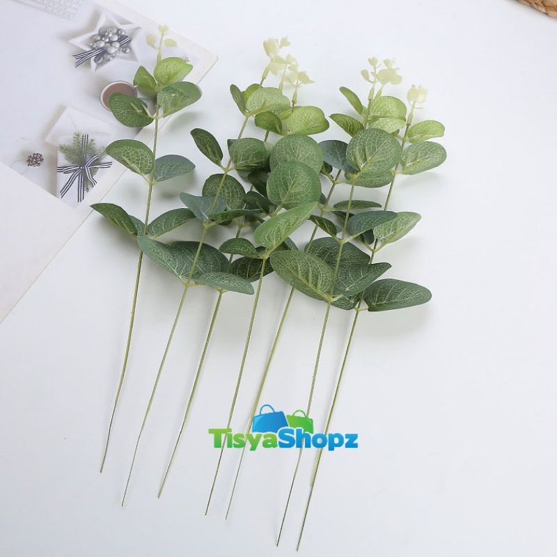 Daun Uang Single ( 1 pc )