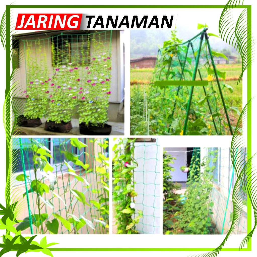 Jaring Tanaman Rambat / Tali Nilon Penopang Tanaman / Climbing Net For Gardening / Vegetable Farm