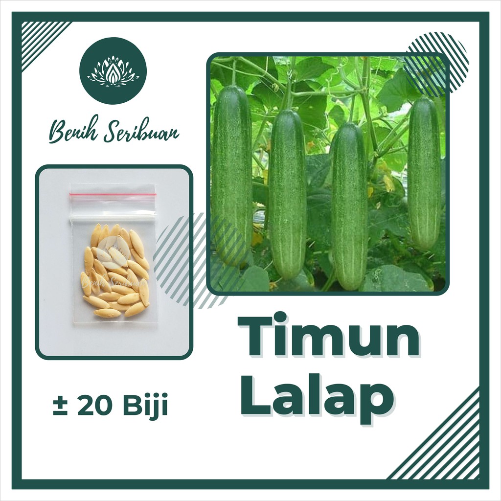 Bibit Sayuran Paket 5 Macam Benih Sayur Rambat Merambat Buncis Kacang Pare Oyong Timun Panjang Lalap