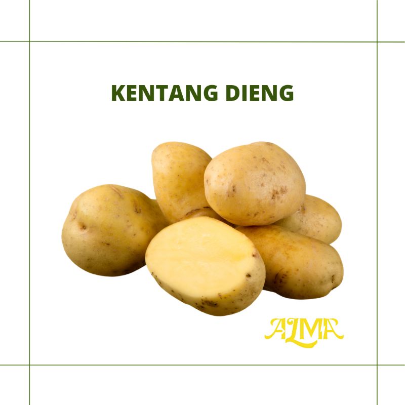 

Kentang Dieng / Sayuran Segar