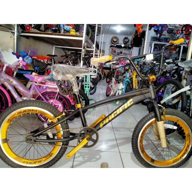 sepeda gunung untuk anak