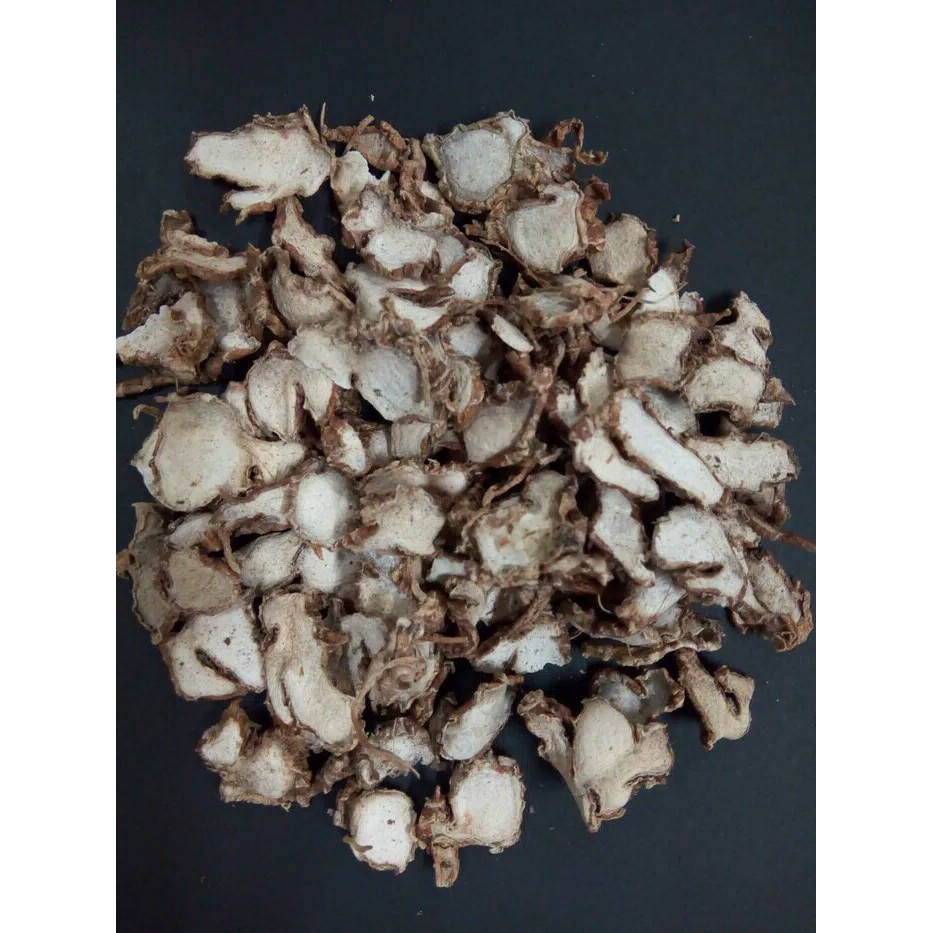 1KG 1 KG 1000 G GR GRAM SAN NAI KENCUR KERING IRISAN IRIS KAEMPFERIA GALANGA