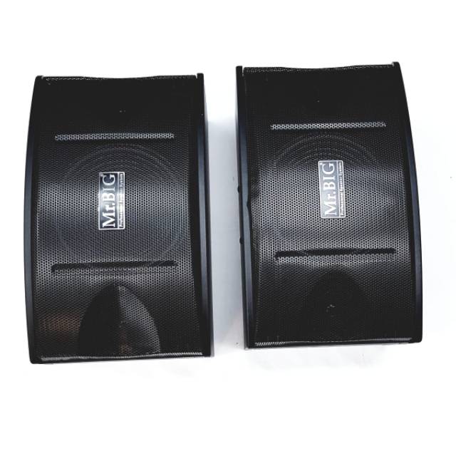Speaker Mr. BIG 10" Mb 450 RV passif / Speaker passif Mr. BIG MB 450 RV 10"