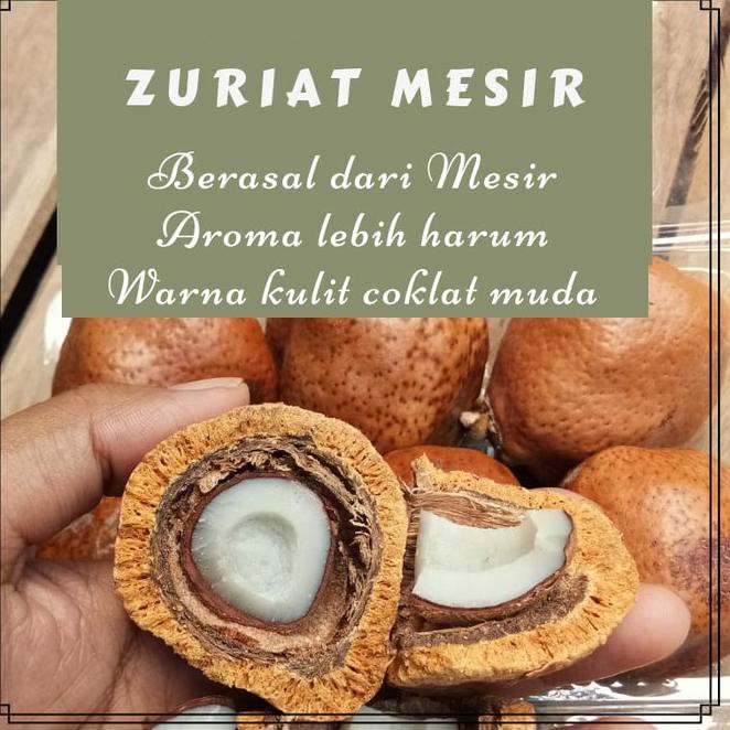 BISA COD (ORI) Buah Zuriat Promil Ibnu Sina 1kg Premium Free Test Pack | Buah zuriat asli ibnu sina