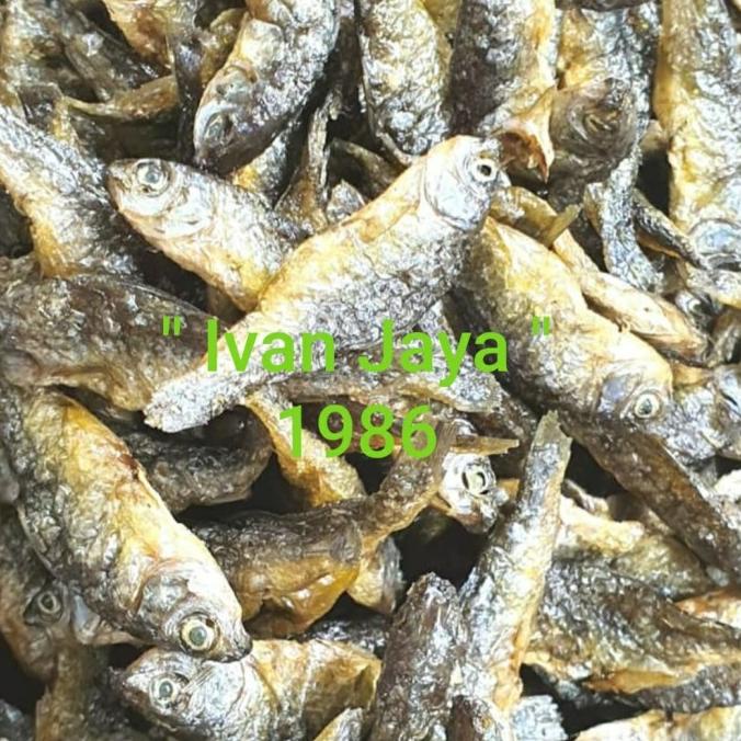 

Ikan Danau Singkarak/Bilih/Tawar Padang500 Gram