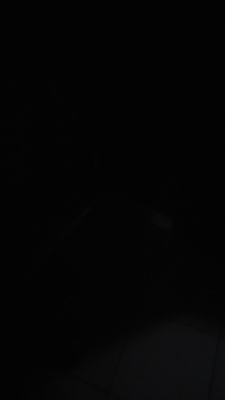 Grosir Cat Besi Avian 200cc Atau 250 Gram Wajib Tambah Packing / Cat Kayu Warna Hitam Putih Murah