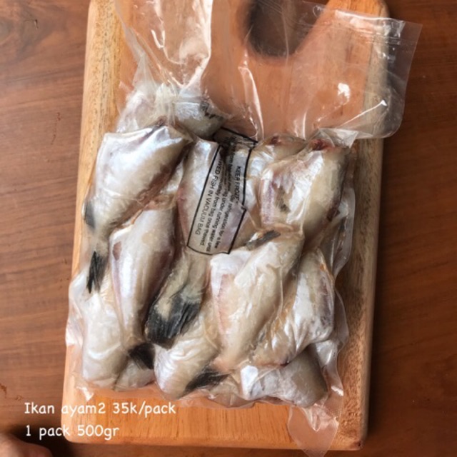

Ikan ayam ayam