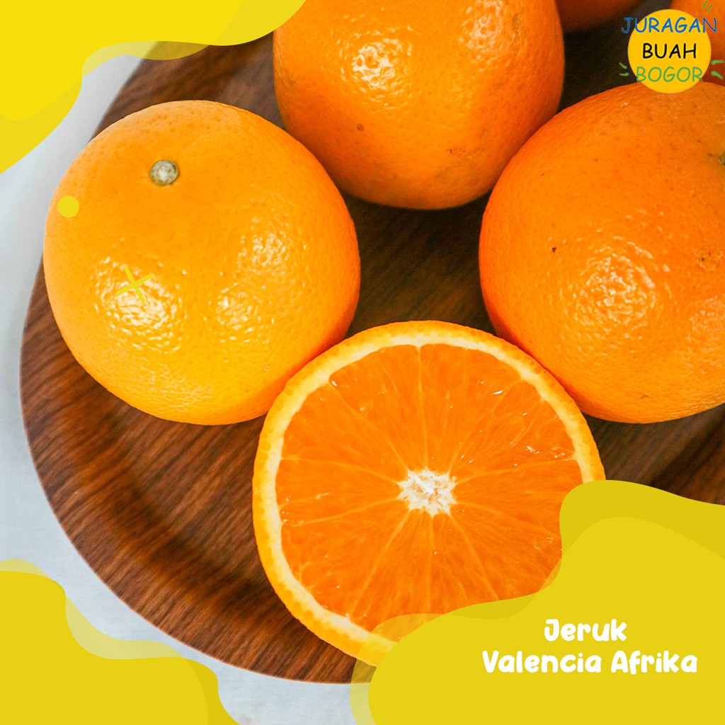 

BUAH JERUK MANIS SEGAR TERMURAH | JERUK VALENCIA AFRIKA