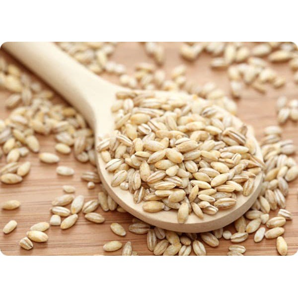 Biji Jali-Jali Pearl Barley Biji Jali khasiat buat Kesehatan jali jali 500g