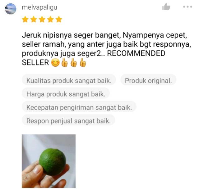 KIRIM INSTAN Jeruk Nipis 250gr