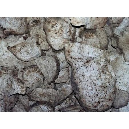 

Open Ds Bidara Upas Kering 1Kg