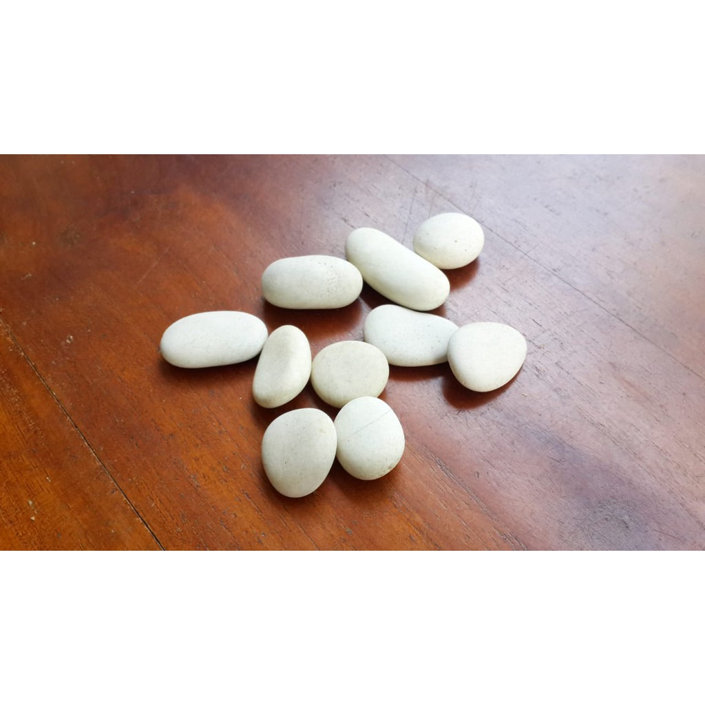 Batu Koral Putih Hiasan 10pcs | Batu Hias Putih | Batu Sikat Putih