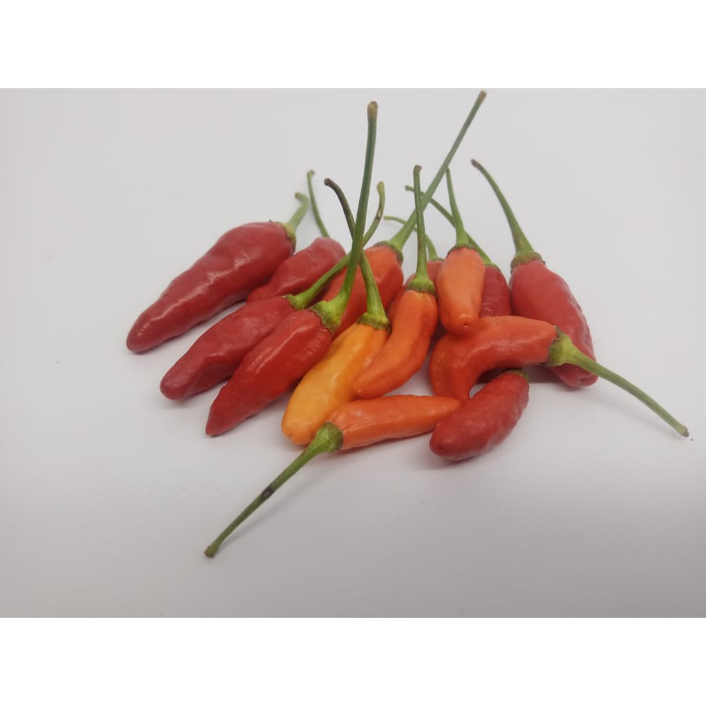 

cabai rawit merah 100gram