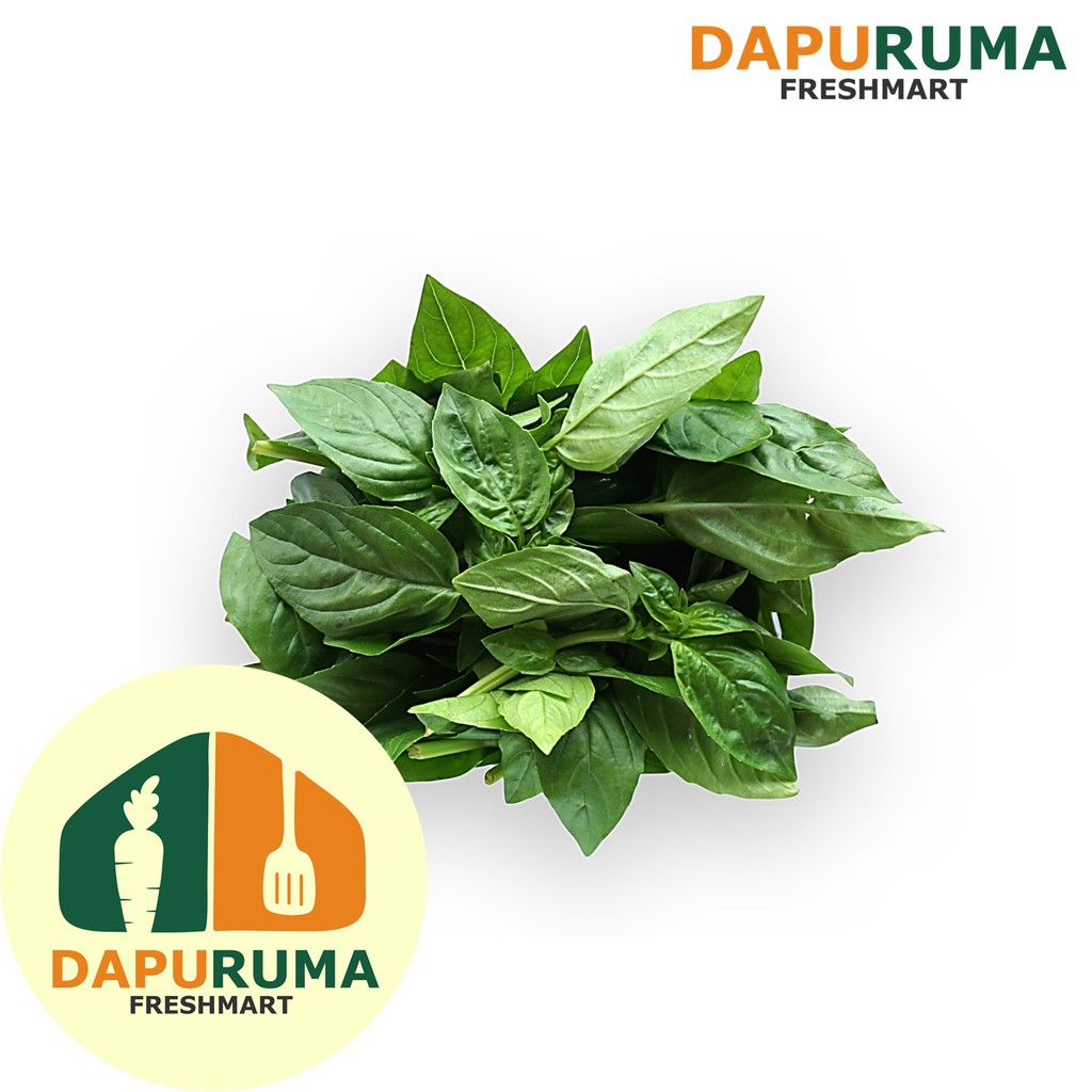 

Basil Organik @100gr