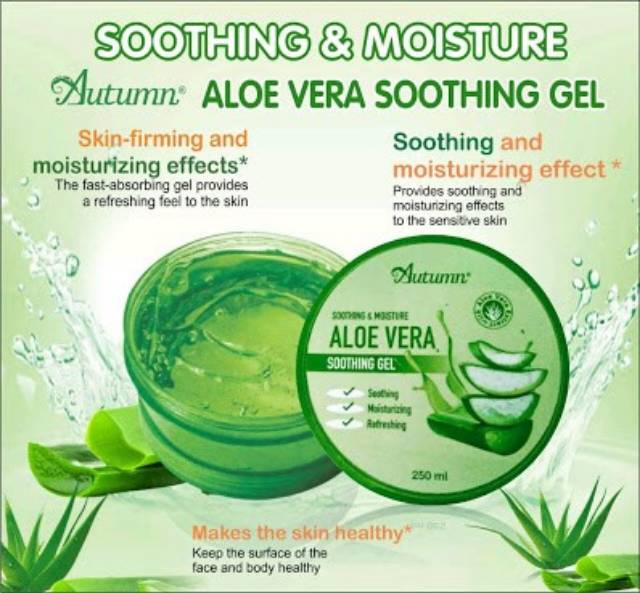 Aschosme AUTUMN SHOOTING GEL ALOEVERA Kemasan Baru