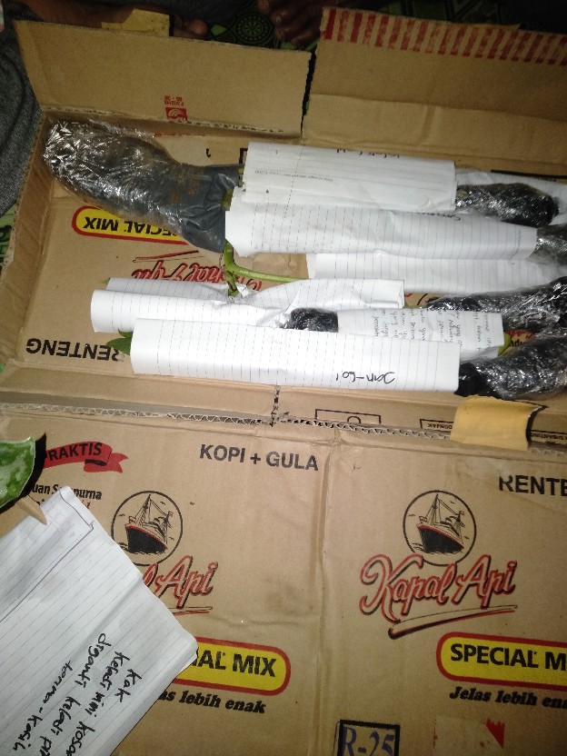 Tanaman Hias Srigading Susu