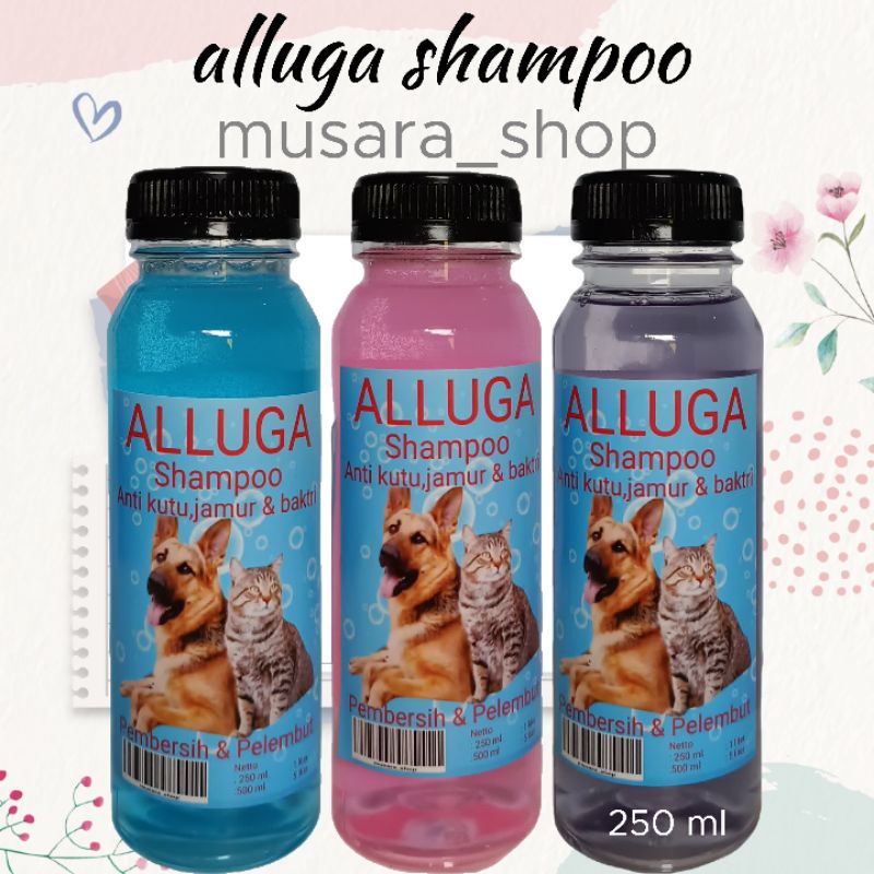 shampo kucing anjing anti kutu jamur dan rontok