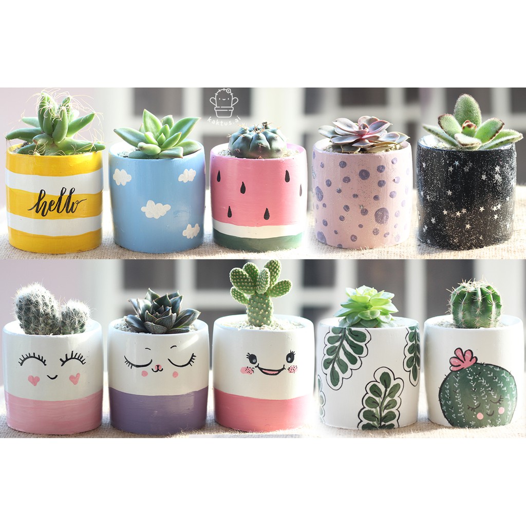 PO 15hr pot lukis kaktus  sukulen bisa pilih lucu bunga 