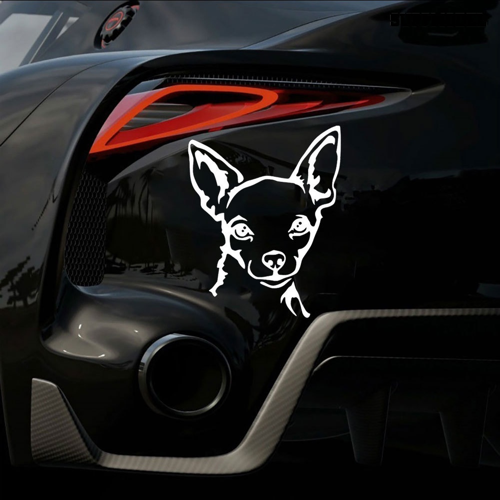 Stiker Reflektif Motif Anjing Chihuahua Untuk Dekorasi Mobil / Motor