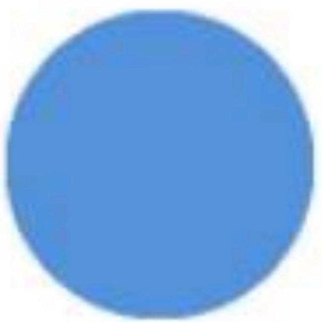 CAT SEPATU PIN PAINT 100ml -  CAT SEPATU CANVAS SUDE NUBUCK KANVAS - SEMIR SEPATU PERMANEN-Biru