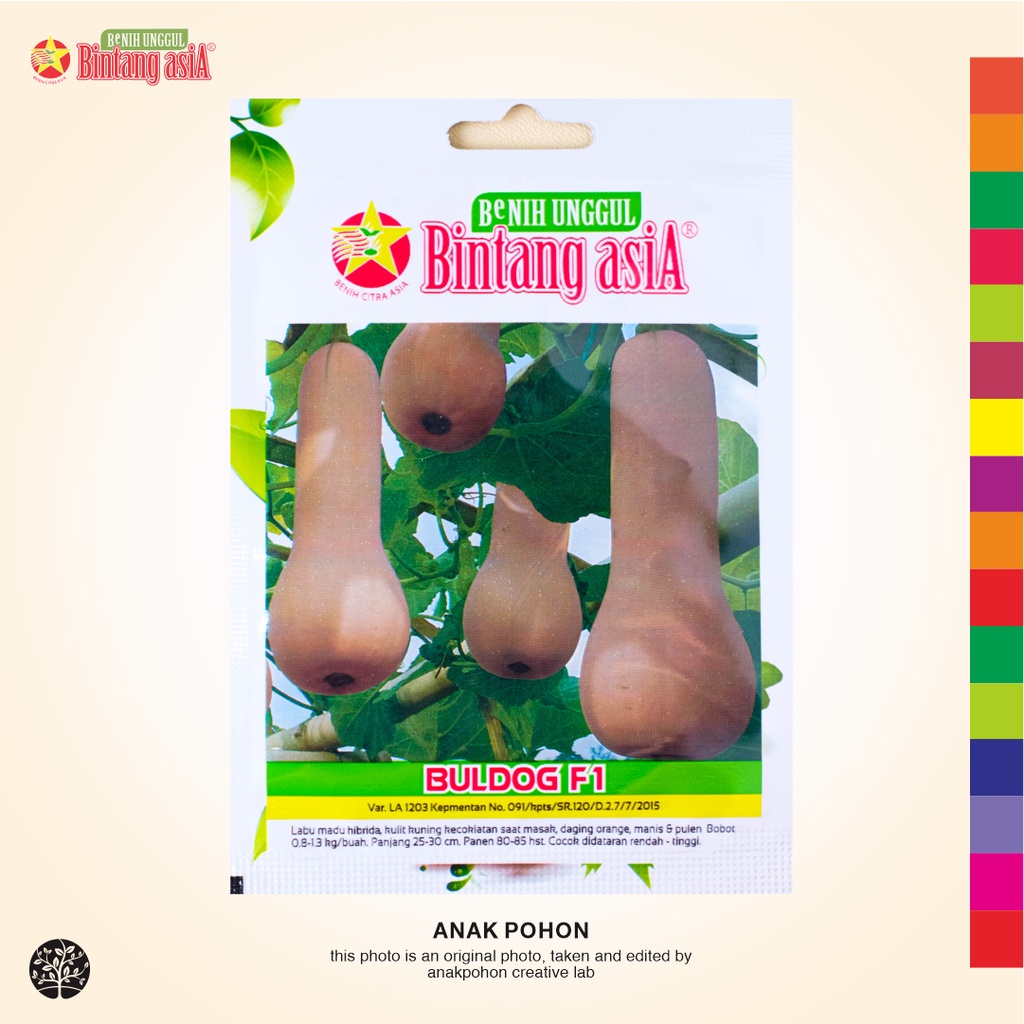 (1 PACK) Benih Labu Madu Hibrida BULDOG F1 Butternut Squash Seeds - BINTANG ASIA - 1 GRAM