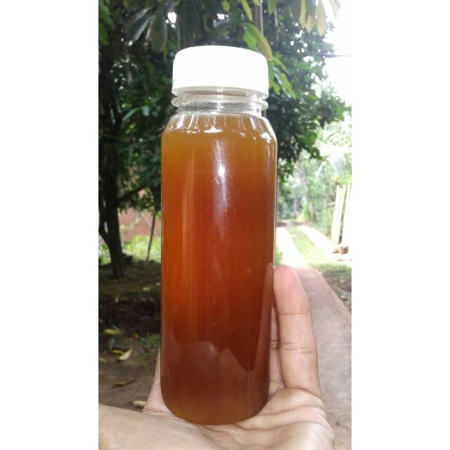 madu apis melifera 100ml 150gr