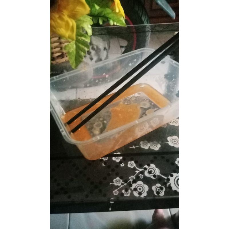lontong sayur