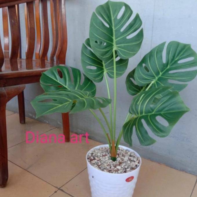 BISA COD daun monstera#monstera latex#monstera plastik#pohon monstera