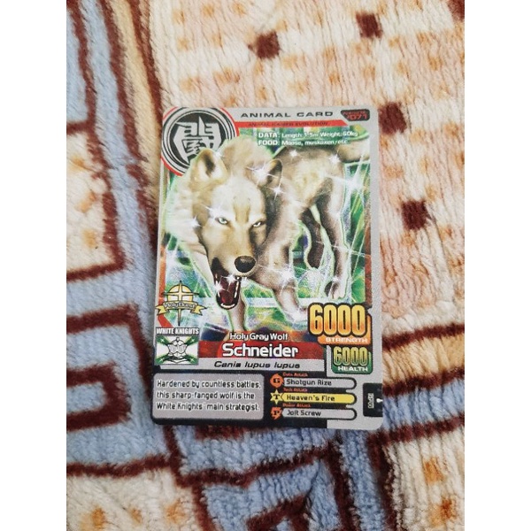 animal kaiser schneider