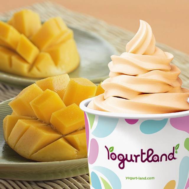Yogurtland California Shopee Indonesia