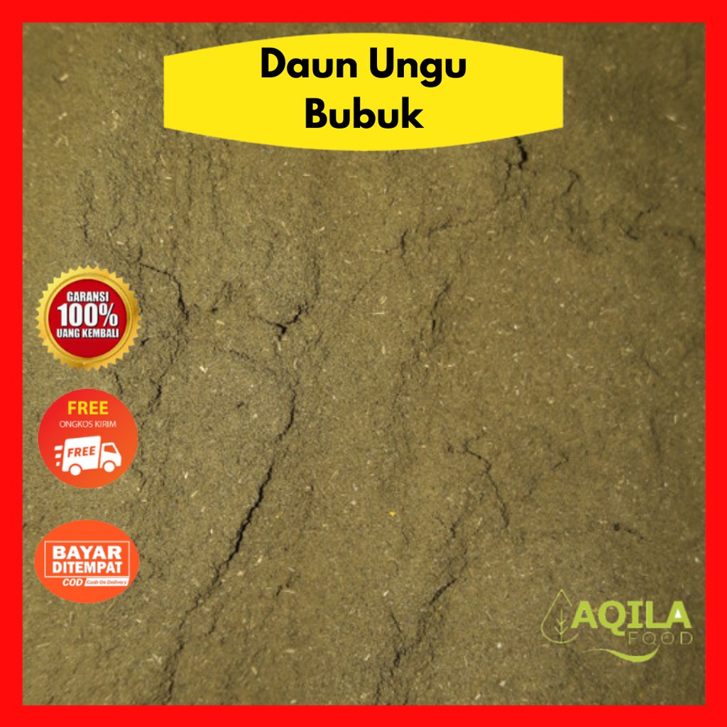 

Daun Ungu Bubuk