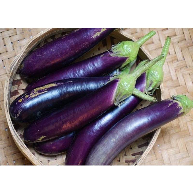 

TERONG UNGU PER 500 GRAM