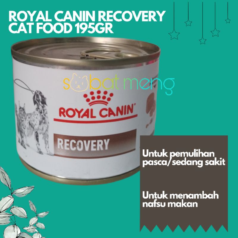 ROYAL CANIN RECOVERY 195GR | ROYAL CANIN WETFOOD MAKANAN KALENG KUCING