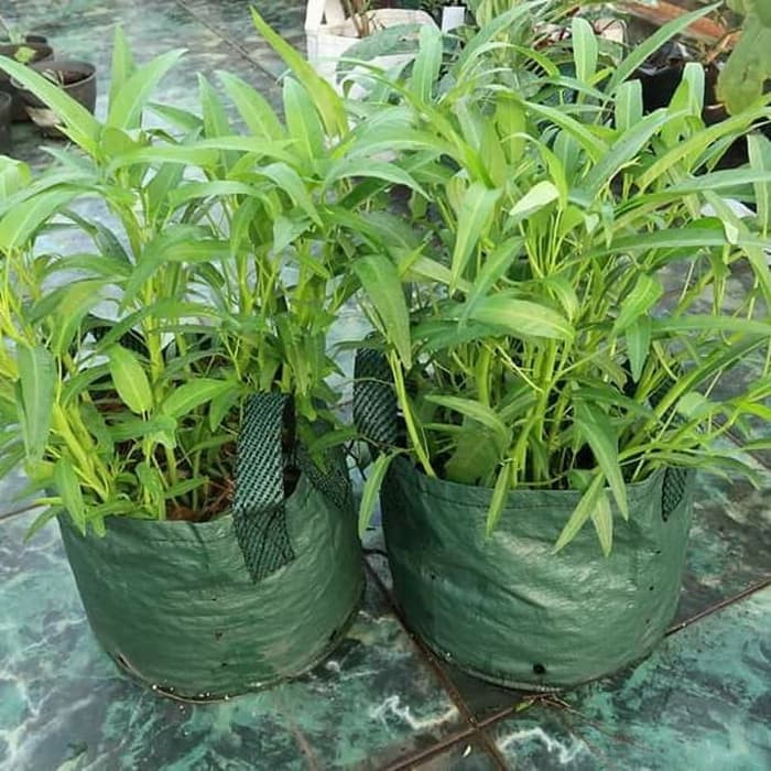 Planter Bag 15 Liter - Easy Grow