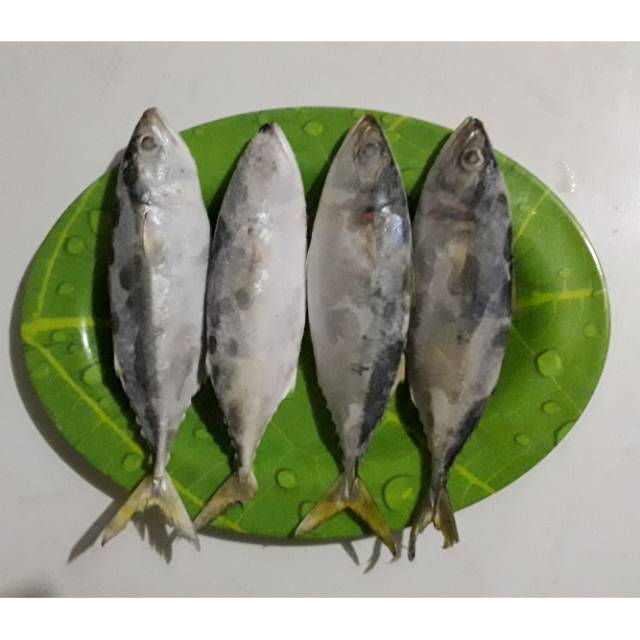 

Ikan kembung banjar frozen size 7-8 (1Kg)