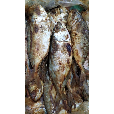 

Asin Peda merah jumbo