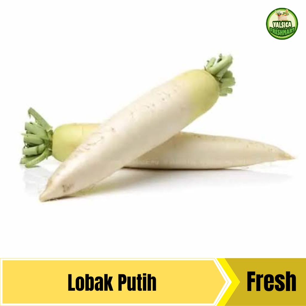 

Lobak Putih Segar