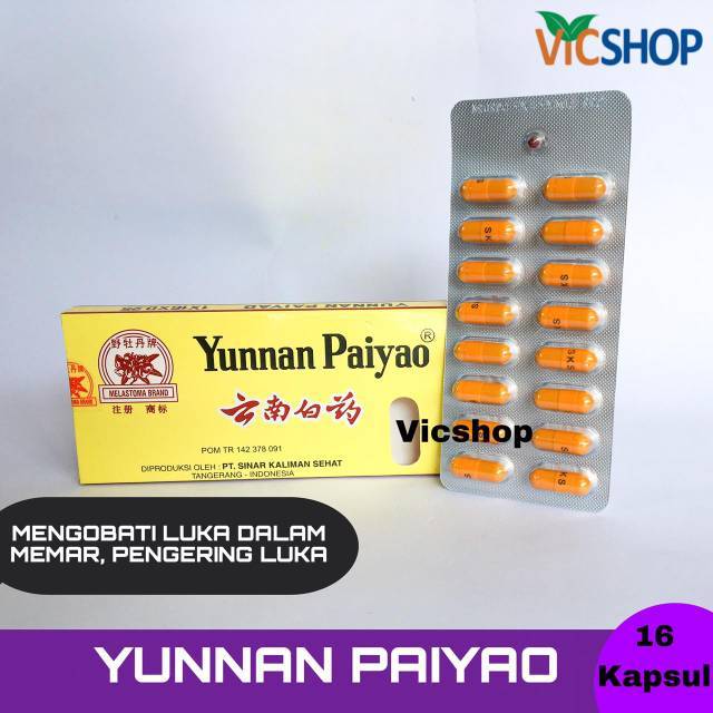 YUNNAN PAIYAO KUNING YUNSAN PAIYAO