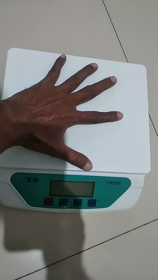 Timbangan Scale Digital Laundry Buah Surat 30 Kg X 1 G