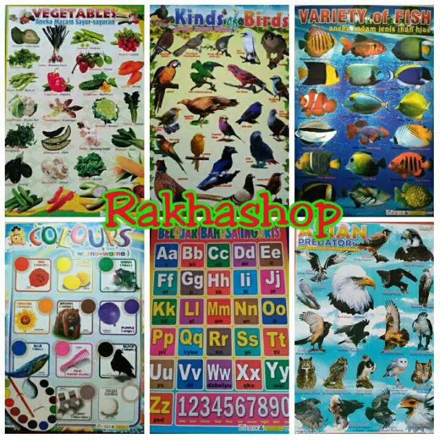 

Poster Edukasi Anak Binatang Jinak / ternak / buas / mamalia / herbifora carnivora unggas burung