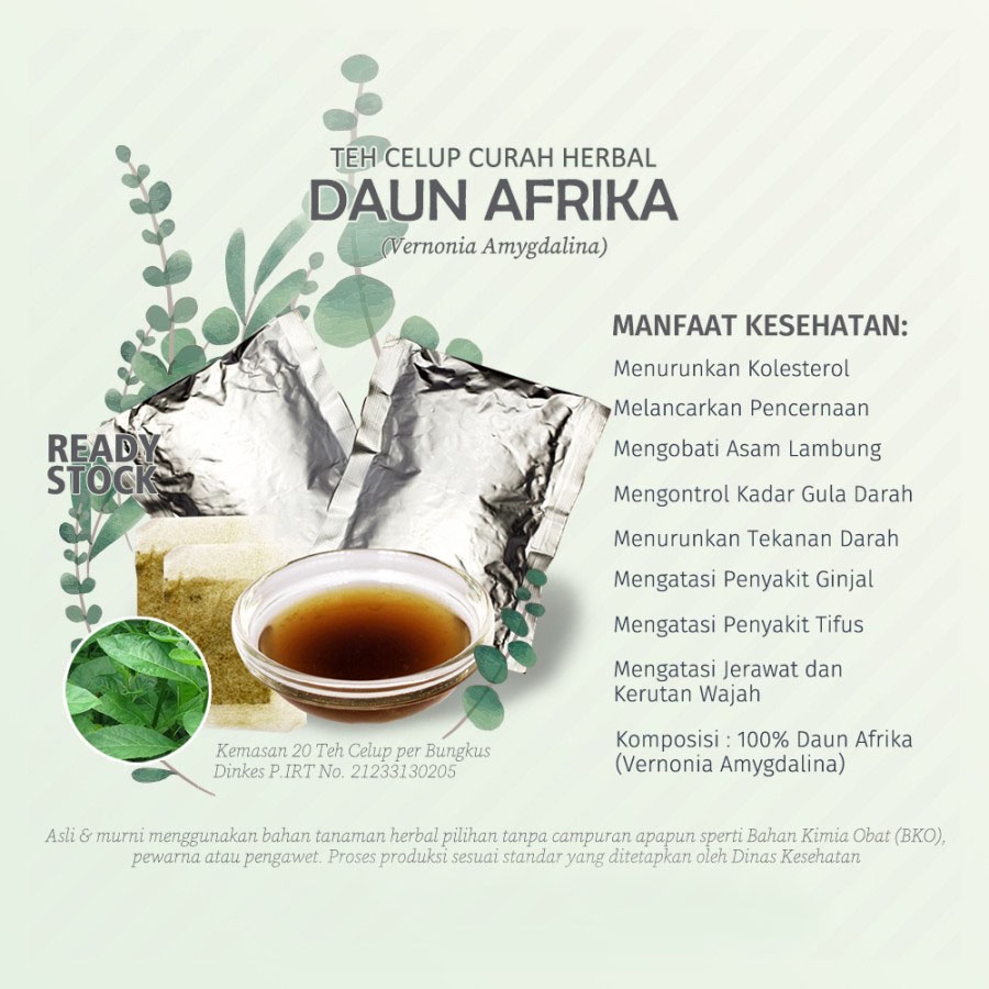 Teh Celup  Herbal DAUN AFRIKA (Vernonia Amygdalina) untuk  Asam Urat, Kolesterol, Diabetes, Tifus, dan  Flu