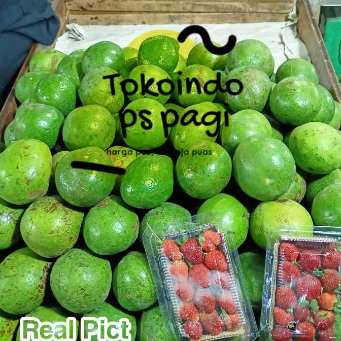 

:=:=:=:=] alpukat mentega, buah alpuket per 1kg