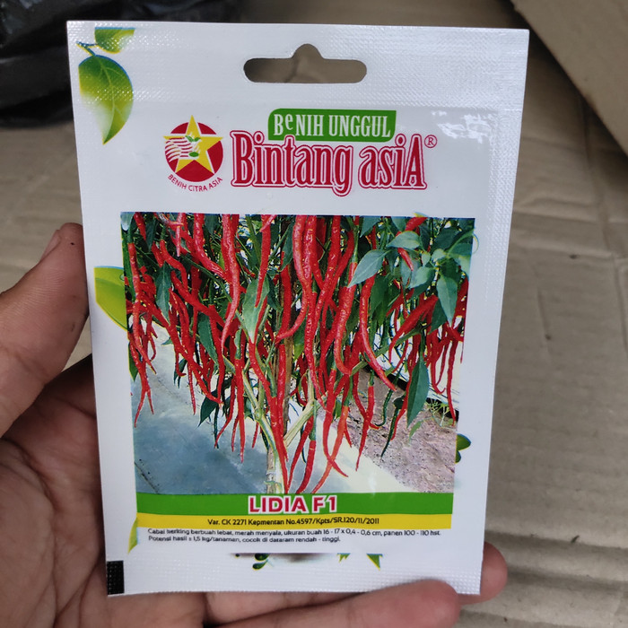 

benih cabe keriting lidia f1