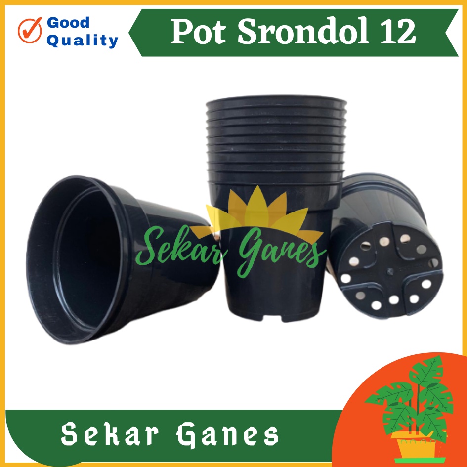 Pot Tinggi Srondol 12 HITAM - Pot Tinggi Usa Eiffel Effiel 18 20 25 Lusinan Pot Tinggi Tirus 15 18 20 30 35 40 50 Cm Paket murah isi 1 lusin pot bunga plastik pot tanaman Pot Bibit Besar Mini Kecil Pot Srondol Pot Bunga Tanaman Termurah Bahan Baguss