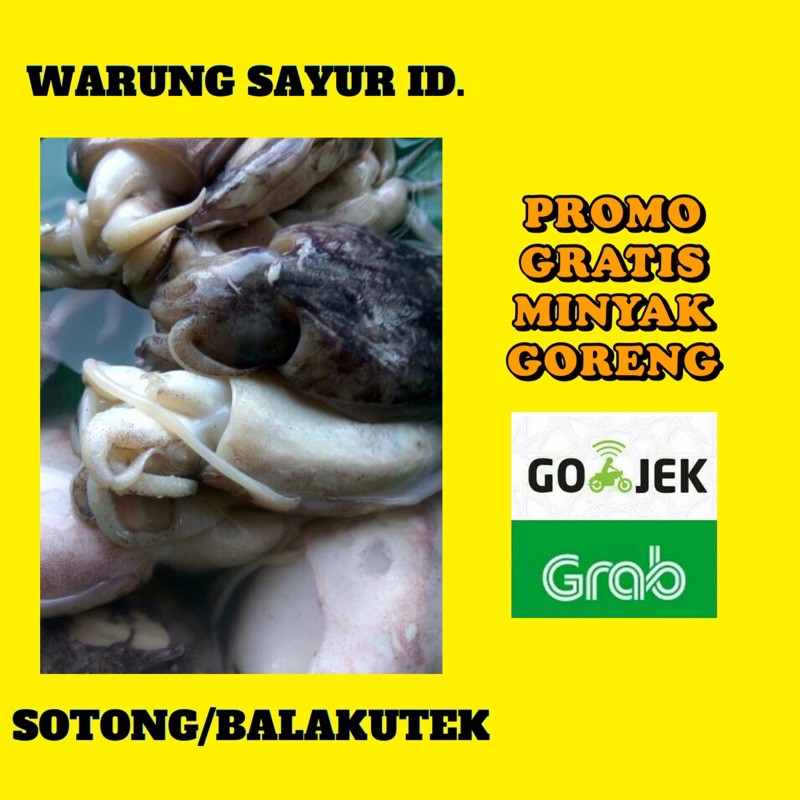 

IKAN SOTONG/BALAKUTEK 500 GRAM