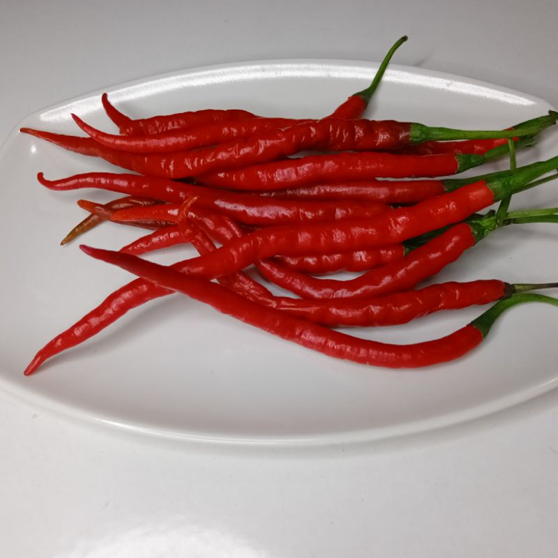 

cabe merah keriting 100gram