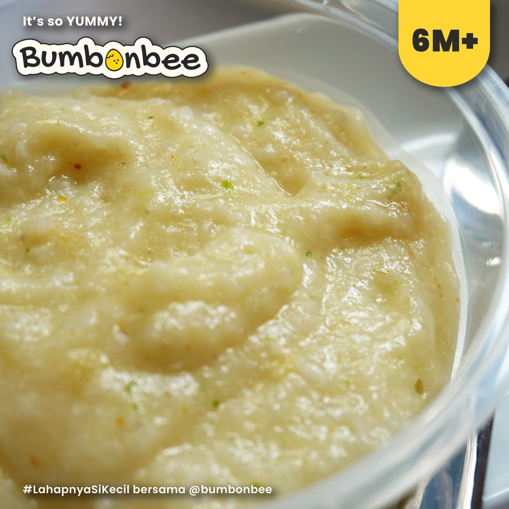 BUBUR MPASI 6-12 BULAN READY/ BUBUR MPASI HOMEMADE/MPASI MENU LENGKAP