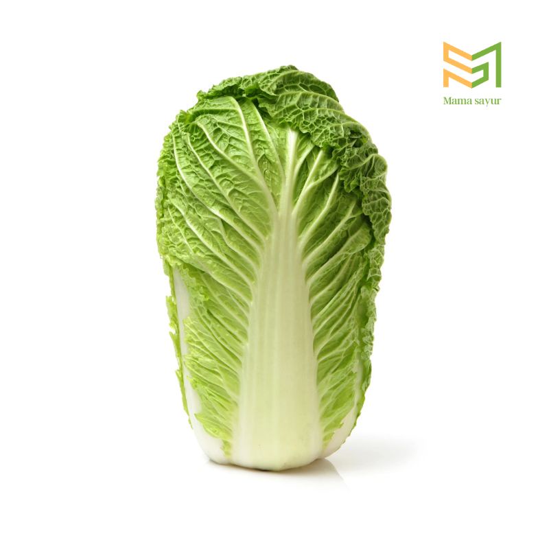 

Sawi putih segar per buah