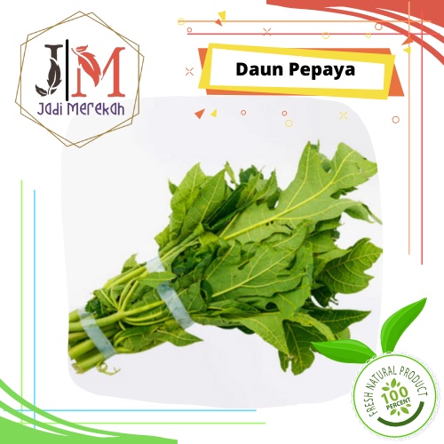 

[JM SoFresh] - Daun Pepaya