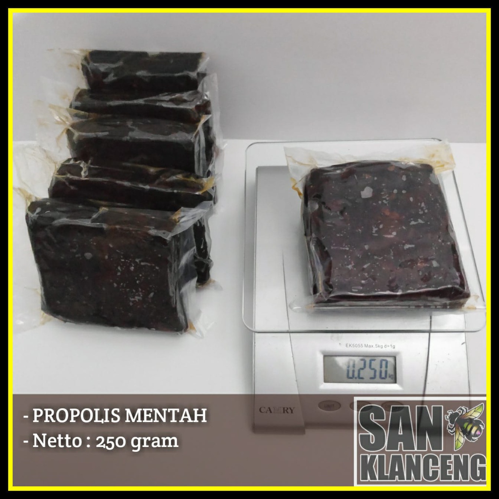 PROPOLIS MENTAH / PROPOLIS TRIGONA PERANSAN MADU KLANCENG / PROPOLIS KELULUT KANTONG MADU
